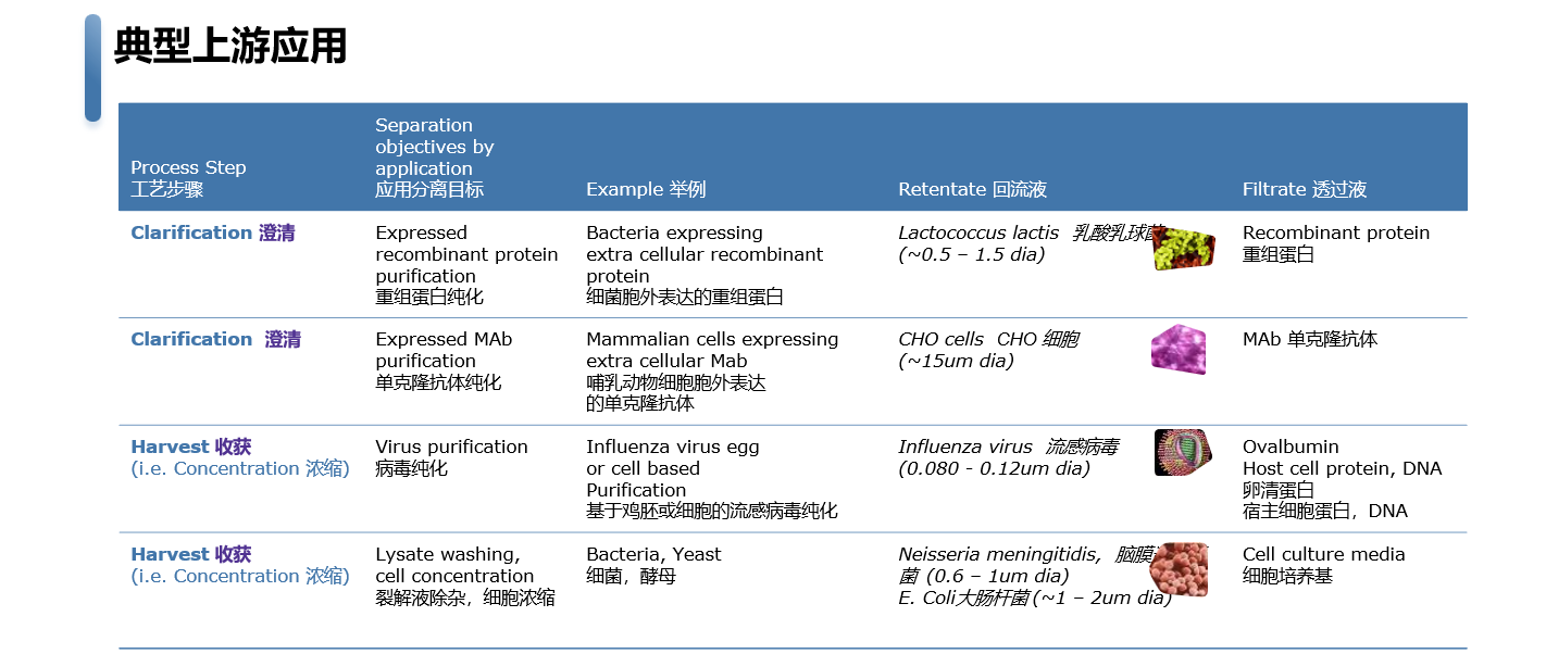 b815376cf068958 b815376cf068958